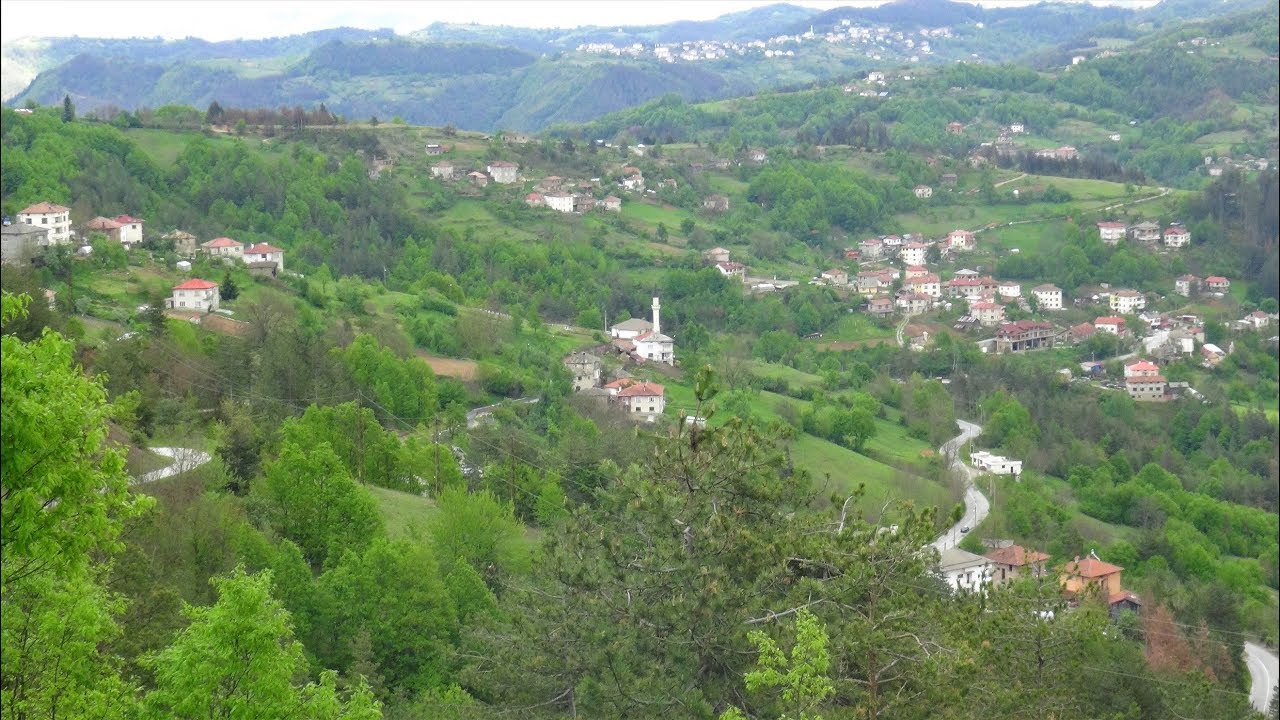 Leska