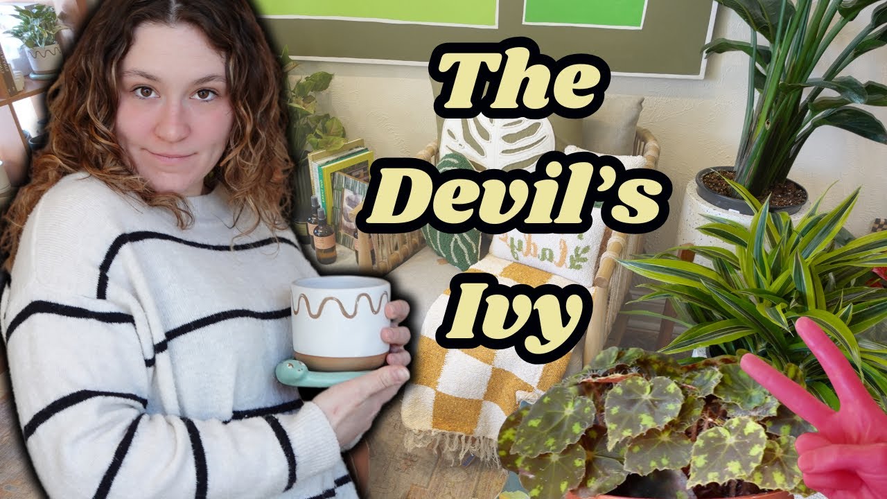 The Devils Ivy | Denver Plant Shop Tour