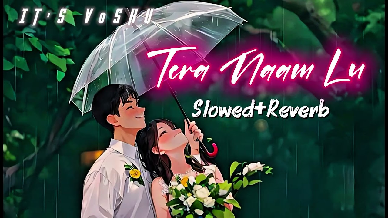 Tera naam lu❤️ | new lofi song | romantic song | song | it's v0shu 