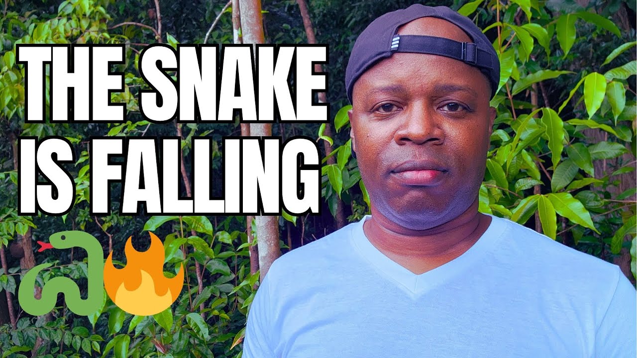 Их время истекло — змея, которая предала тебя, наконец падает 🐍🔥