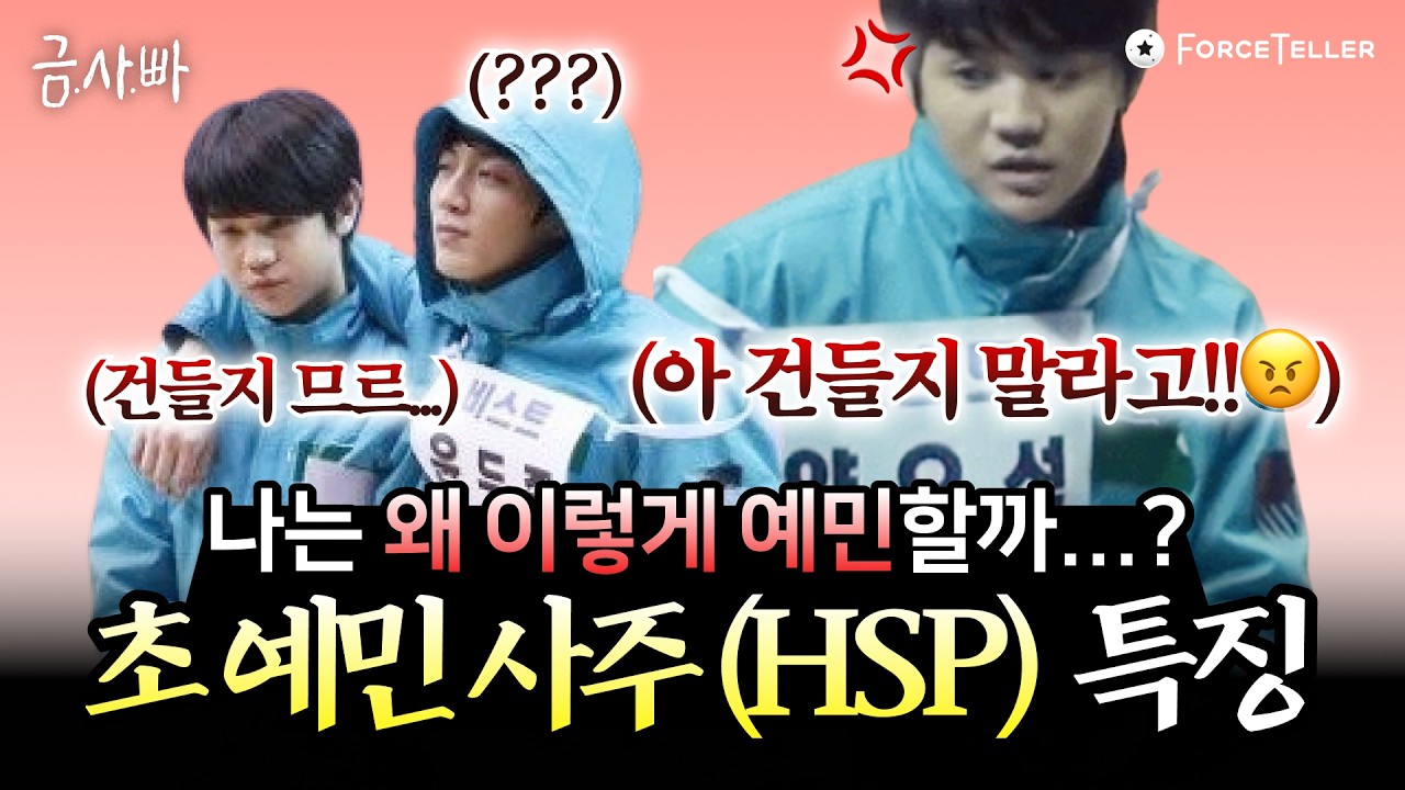유난히 예민한 성격도 사주에 다 나와있다...!🫨 HSP(🥔초민감자)가 더욱 맘편하게 사는 법 알려드림❕ | 금사빠 EP.56