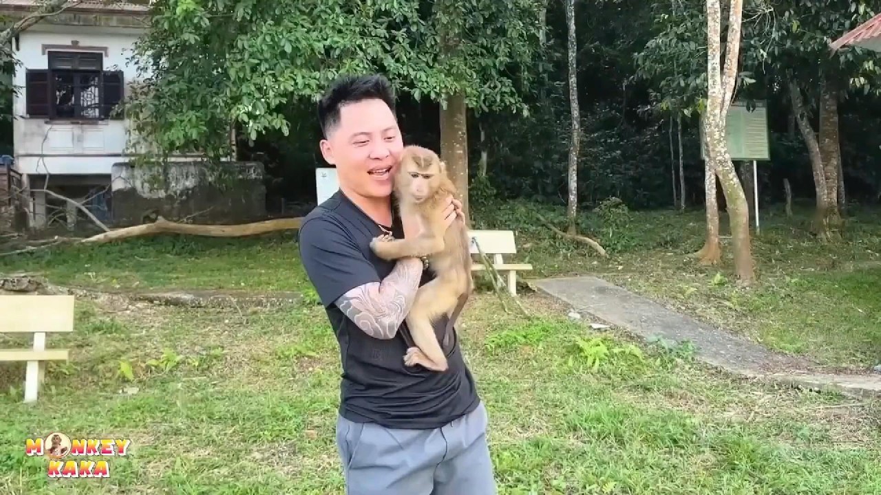 Эти видеоролики запечатлели нежную связь между папой и обезьянкой Кака.