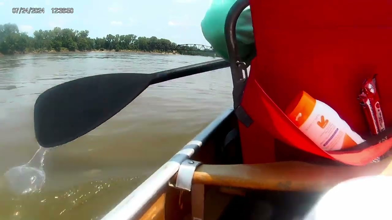 The 2024 MR340 Paddle Race: Soggy Bottoms, Wet Sandwiches, and Bird Sized Wasps