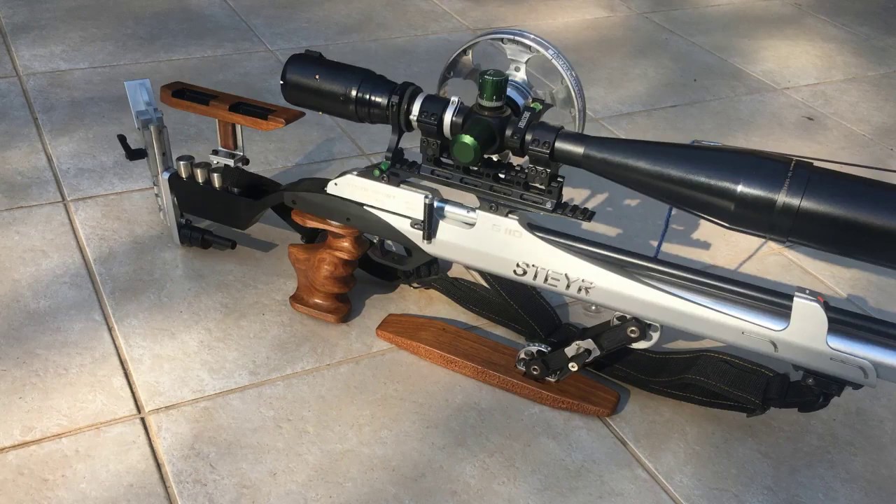 Steyr LG110 Custom Wood Grip