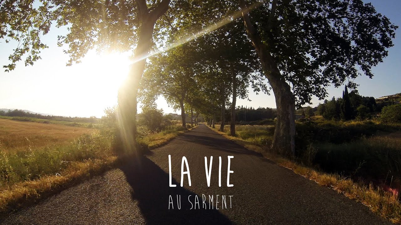 La vie au Sarment