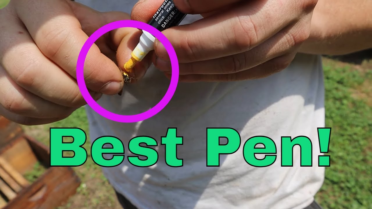 🔵The Best Queen Marking Pen. (And How to Find Queens!)