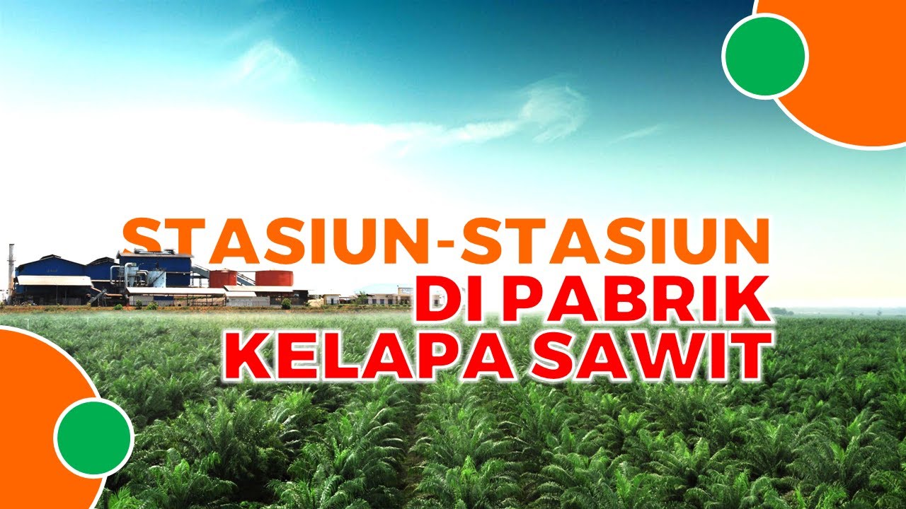 Mengenal Stasiun-Stasiun Di Pabrik Minyak Kelapa Sawit (PMKS)