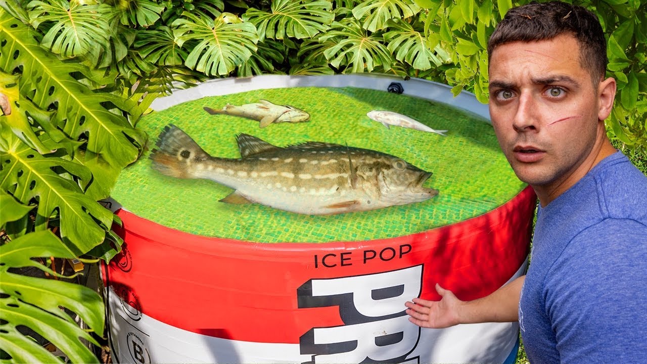 i Found A Problem with My Prime Pond