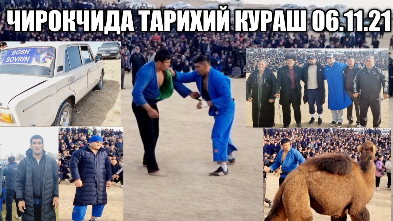 КАШКАДАРЕ ЧИРОКЧИДА ТАРИХИЙ КАТТА КУРАШ 06.11.21.