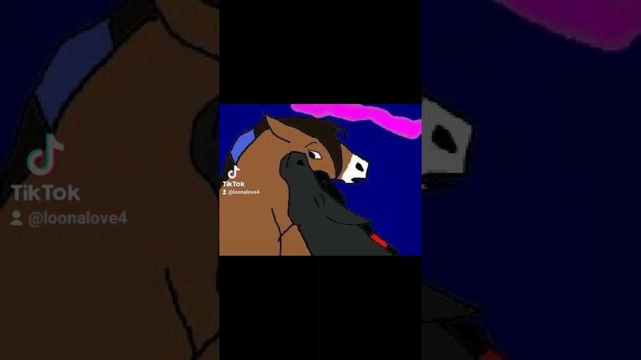Terra dos Cavalos