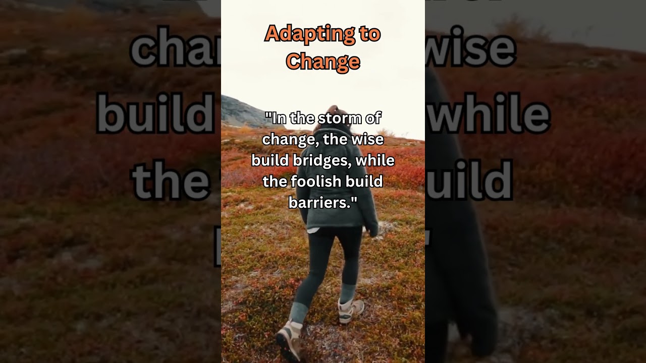 Adapting to Change #BuildBridges #AdaptToChange #WiseLeadership