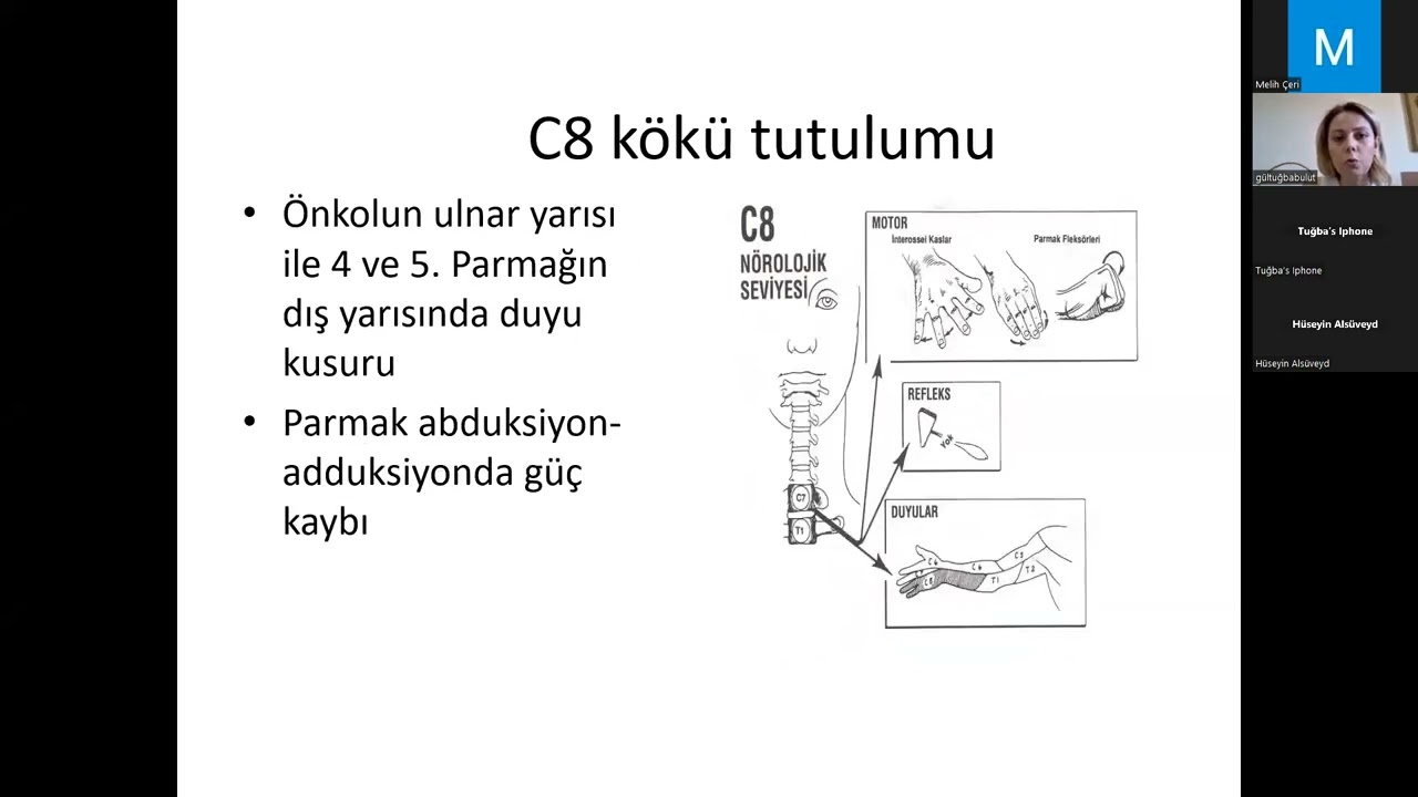BOYUN AĞRILARI