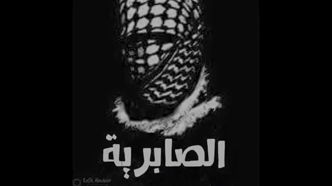 اسود الصابرية