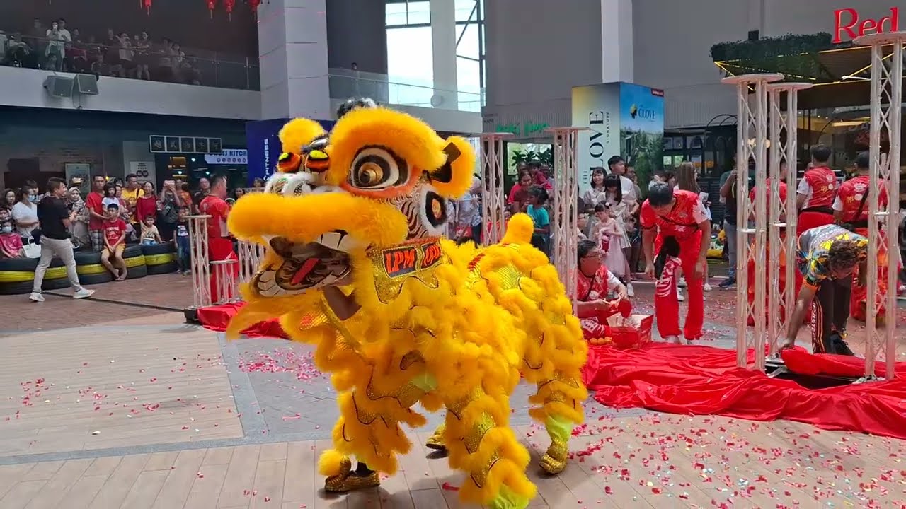 Acrobatic Lion Dance @QuaysideMall257 #quaysidemall #liondance #chinesenewyear 2025