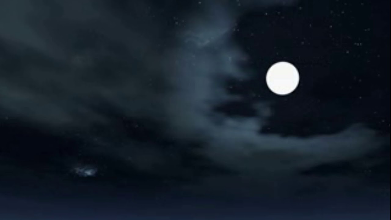 موال _ يوسف حسين الحسن  _افراح الحوس