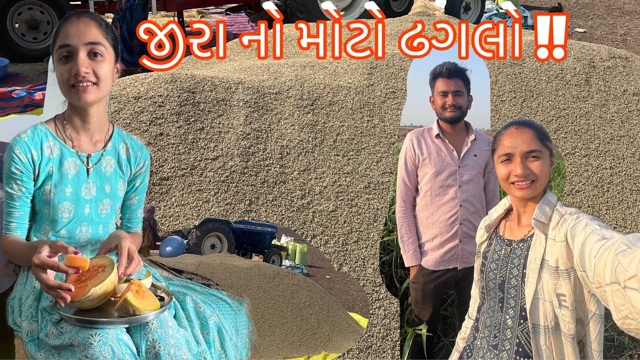 આજે જીરુ કાઢુ ॥ Ketlu thase jiru? 🤔 ।🙏જય ચામુંડા મા ॥ VLOG 348 