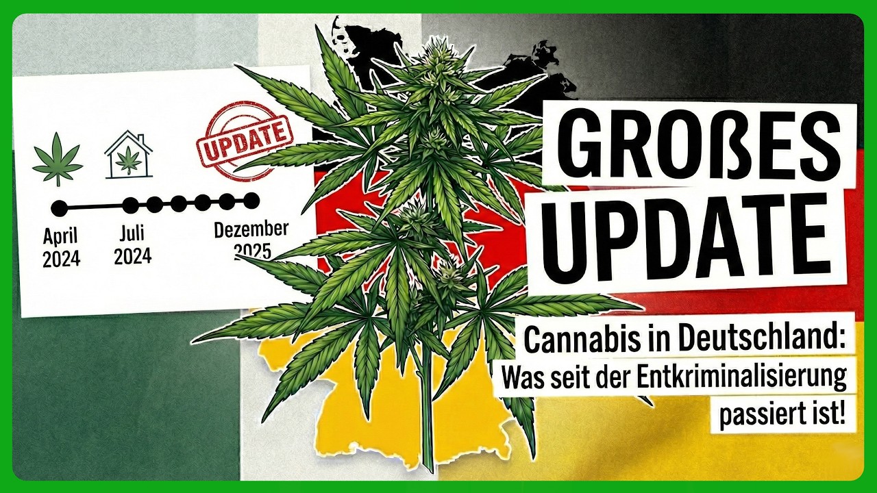 Bayern gegen Social Clubs, S&auml;ule 2, Stecklinge, 
