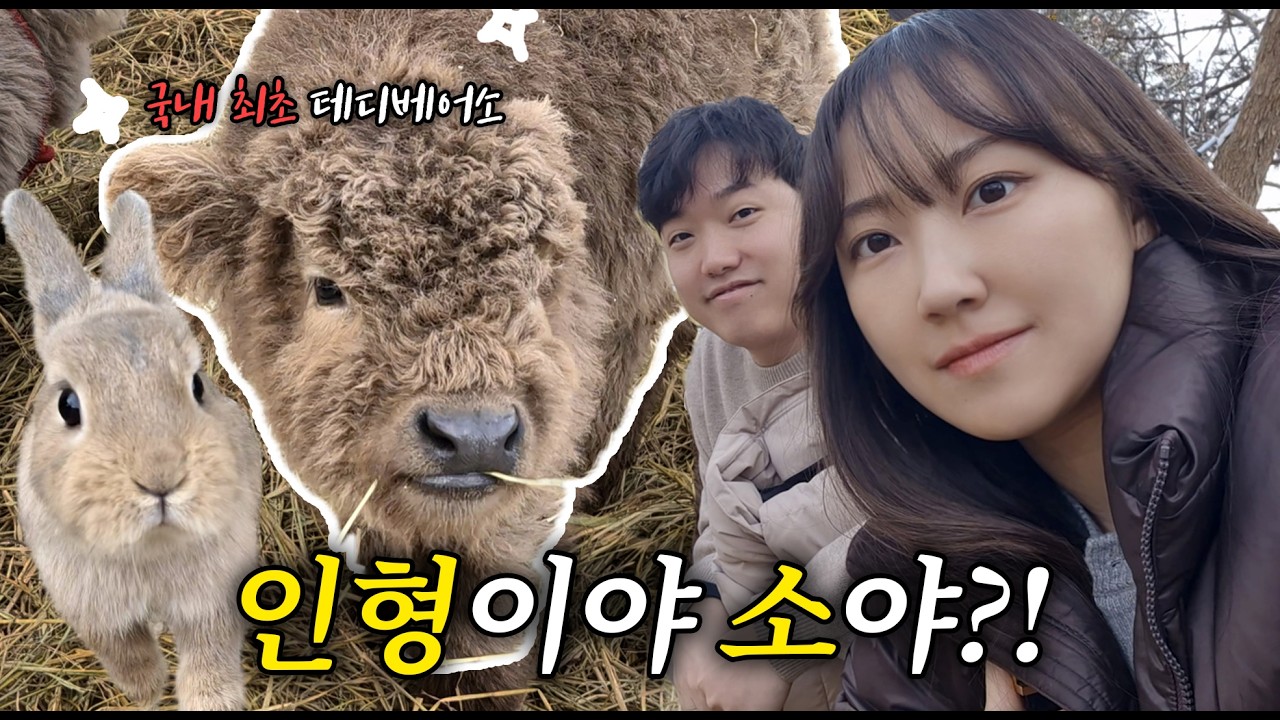 국내 최초 