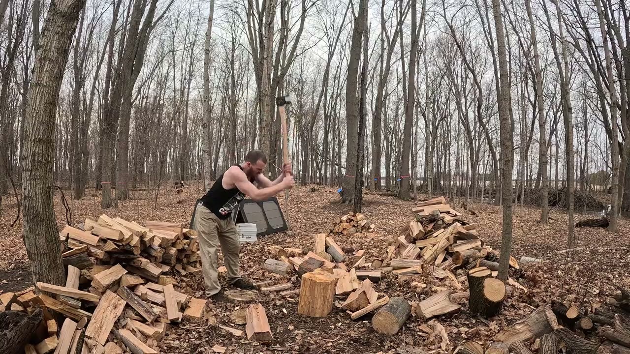Daily Firewood: Day 48