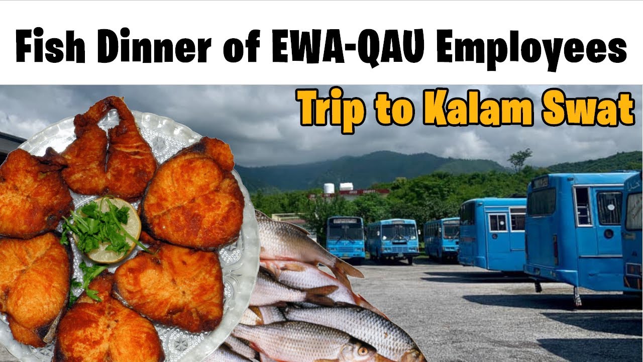 Fish Dinner of EWA-QAU Employees | Trip to Swat, Kalam & Malam Jabba |