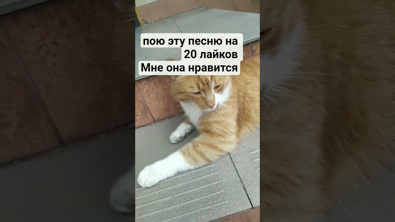 Мурзин звезда 