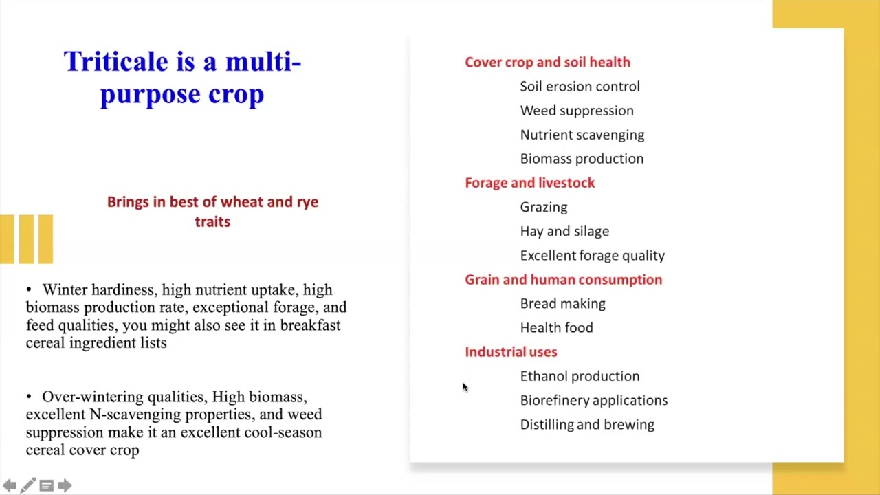 Is Triticale A Viable Mid-Atlantic Crop?