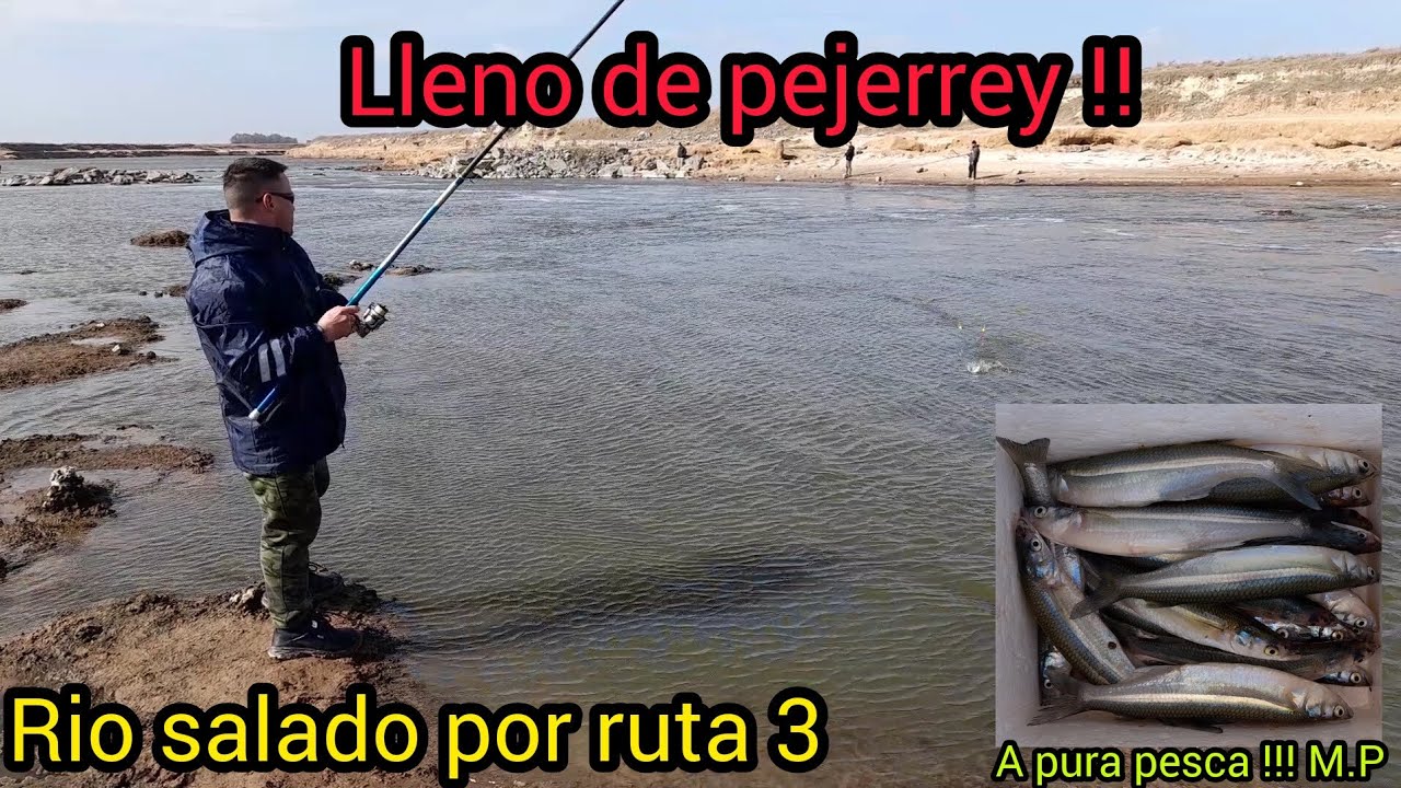 Rio salado por ruta 3. Tremenda pesca de pejerrey en medio día! Lleno de peje!