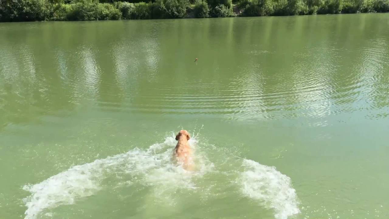 Kira meine Wasserratte