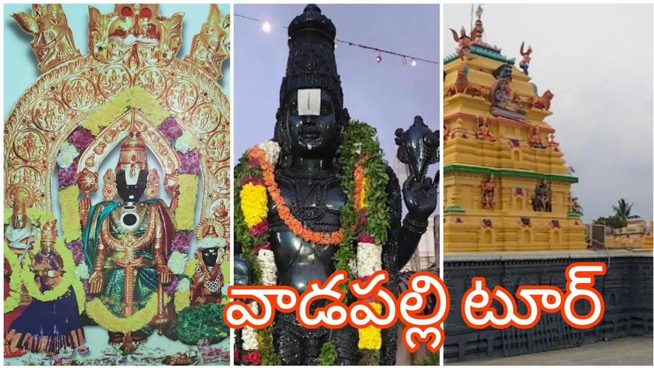 vadapall Venkateswara Swamy gudi complete tour and darshanam#telugu #hindugod #viralvideo #trending