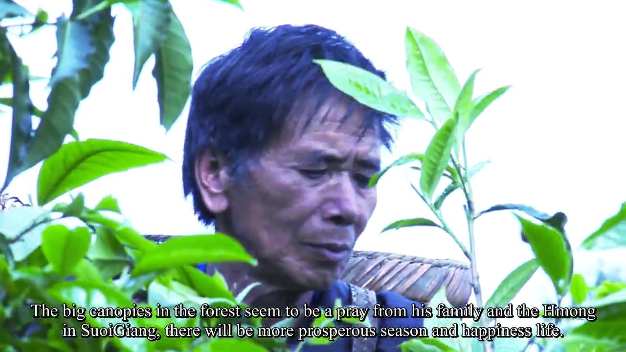 Ph&oacute;ng sự Ch&egrave; Suoi Giang