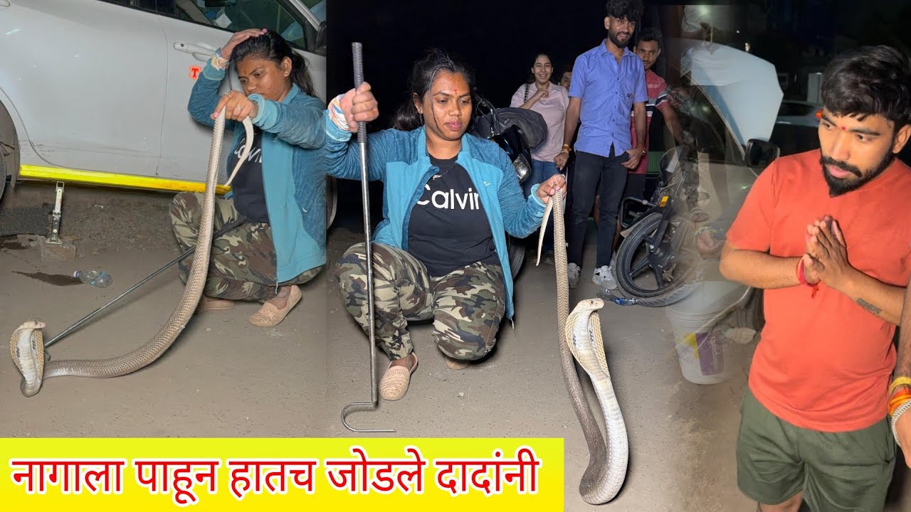 😱😱बापरे गाडीत घुसला भला मोठ्ठा नाग 🐍 या नागाला बाहेर काढायला किती मेहनत घ्यावी लागली पाहा 😳😳