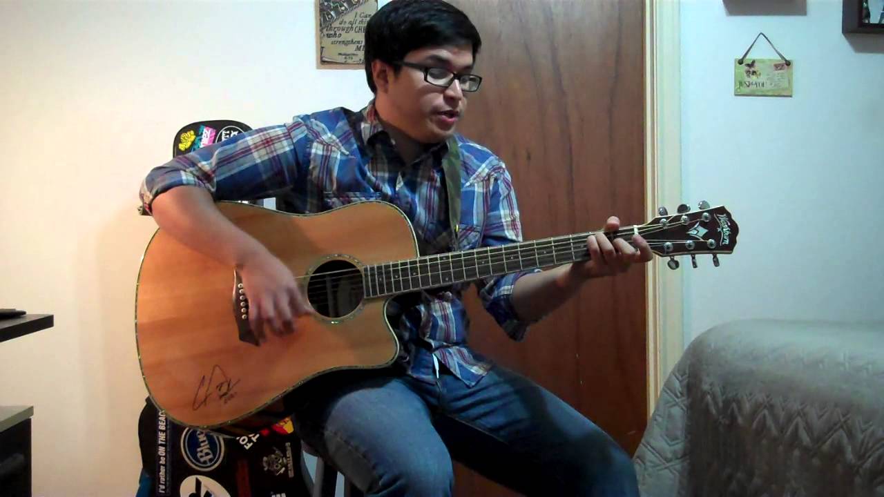 Blink 182 - Emo Cover