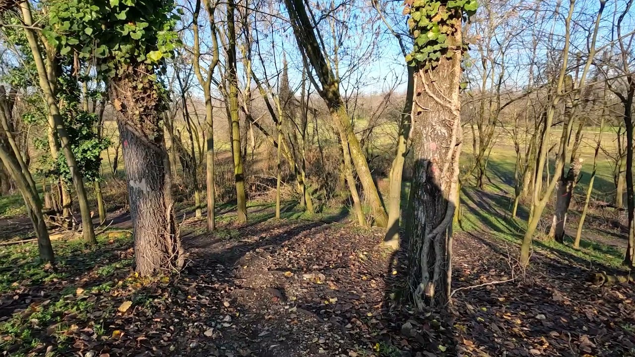 [MTB] Porto di Mare (Milano) - percorso XC completo