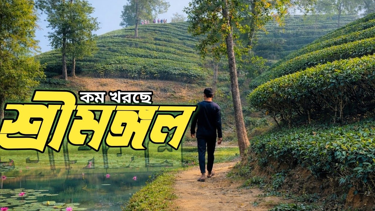 শ্রীমঙ্গল ভ্লগ 🌿 | চা বাগান, নীরবতা আর প্রকৃতির এক অন্য অনুভূতি | Sreemangal Vlog৷ 