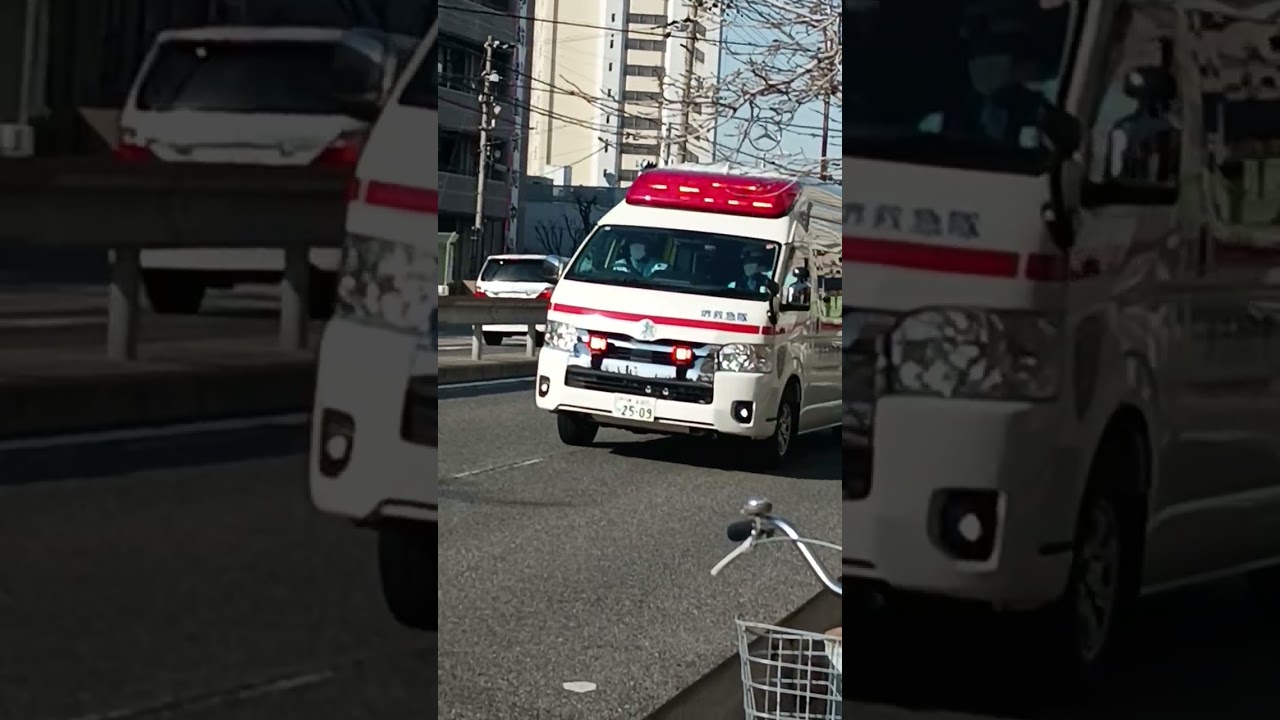 お久しぶりの撮影動画です。
