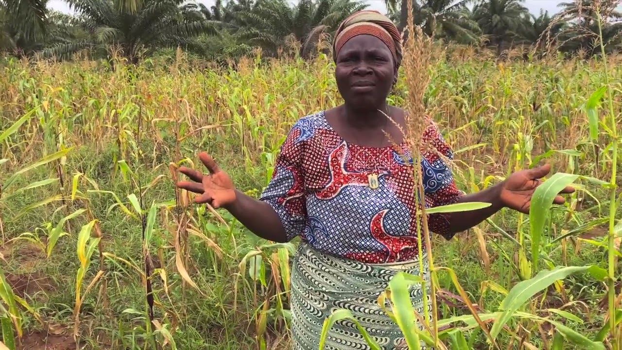 Écoutez nous: Un film documentaire sur les femmes agricultrice de la commune de Dangbo 