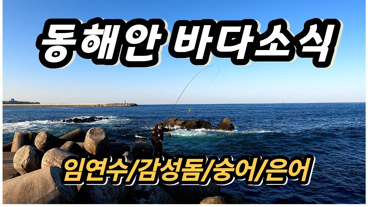 동해안 바다소식 (임연수/ 감성돔 /숭어 /전어 그리고 은어소식)