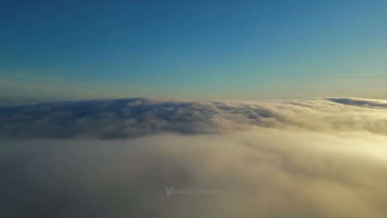 Fog Timelapse