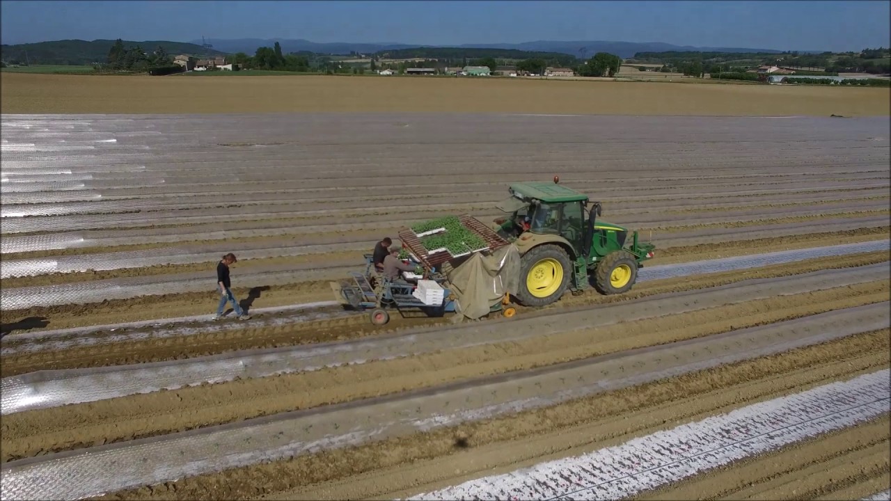 Plantation de melon 2k17 (JD 6100RC/ JD6230)