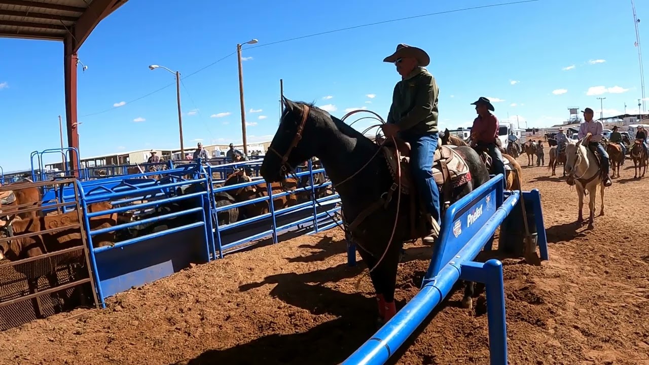 Stocna Pijaca/Livestock Market, Las Cruces NM 02-2026