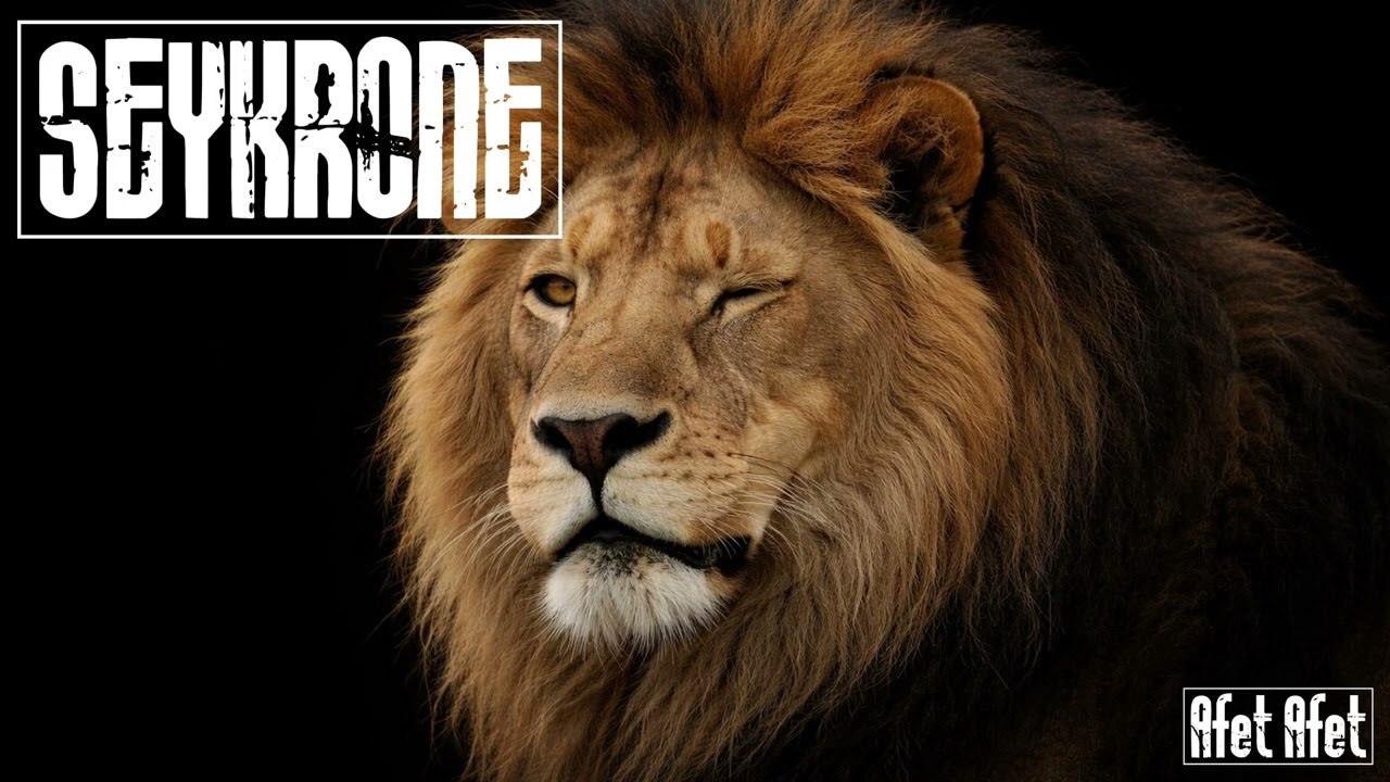 SEYKRONE - Afet Afet