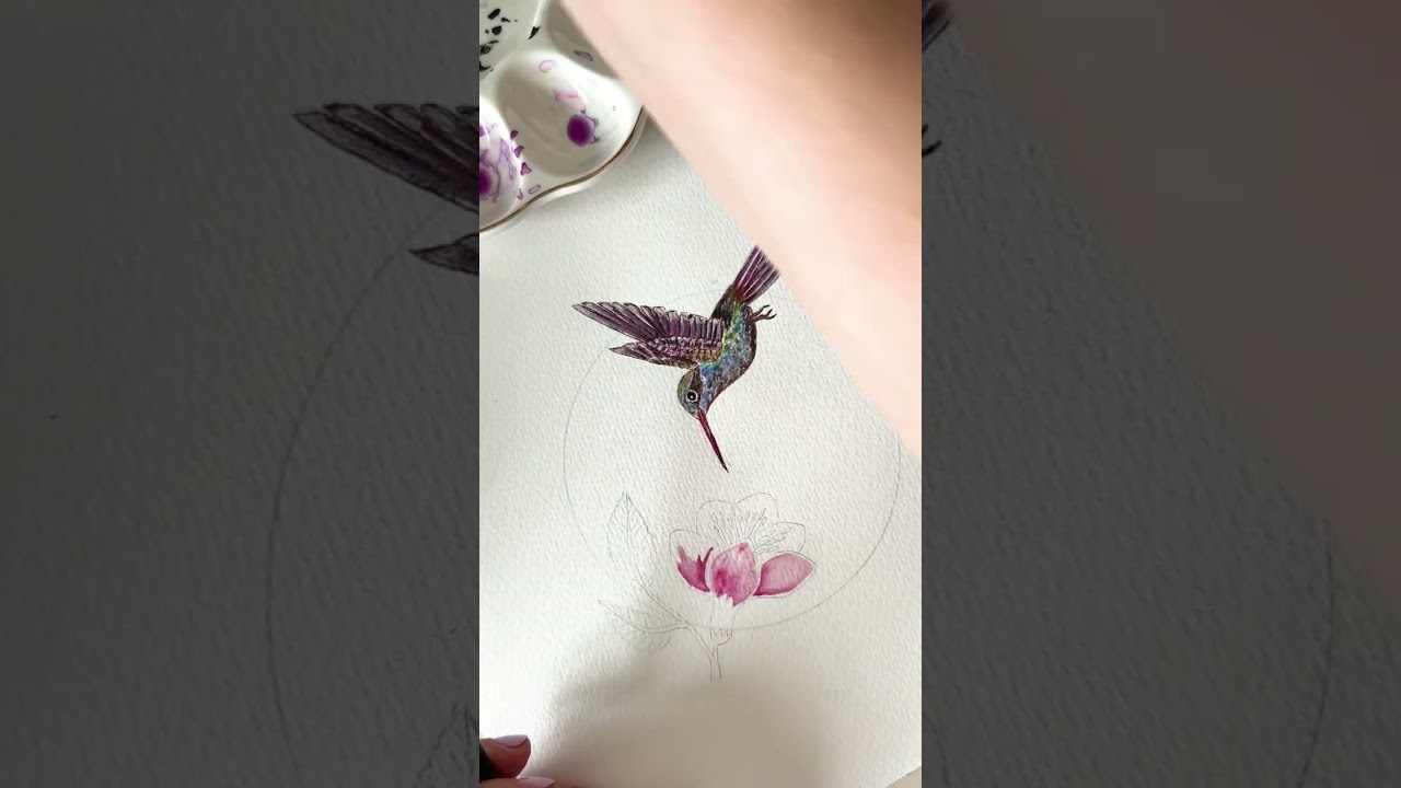 Kolibri Teil 2 - Malerei mit Gouache