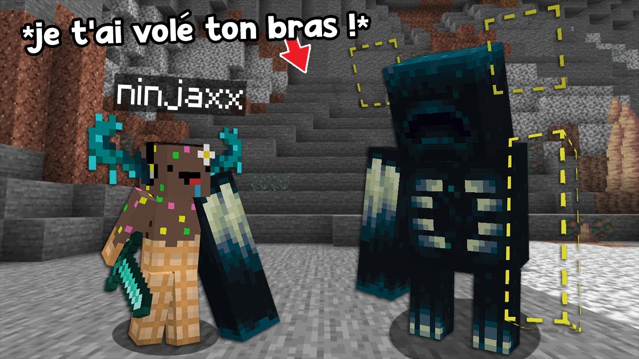 Je dois finir Minecraft en volant des Morceaux de Mobs..