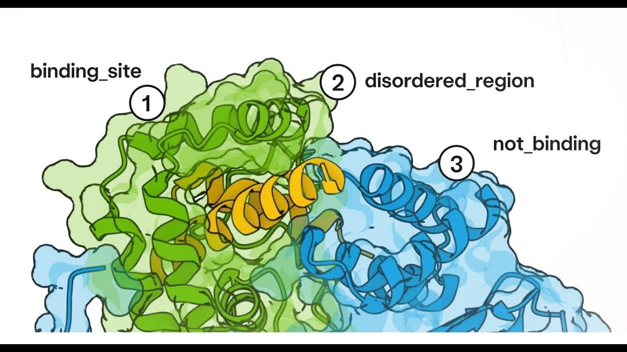 The Pauling Principle Episode 22 - Bolz-2, Boltzgen and foundational models for molecules
