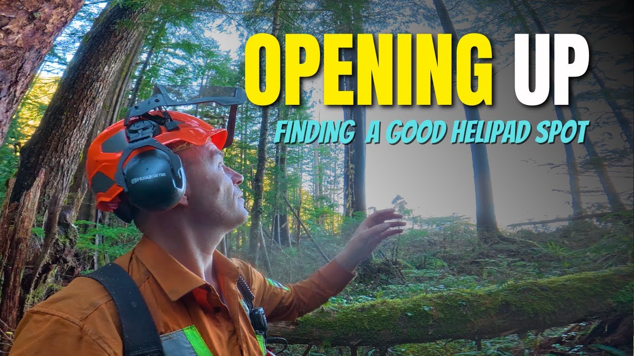 344. New Spot | Another Bench