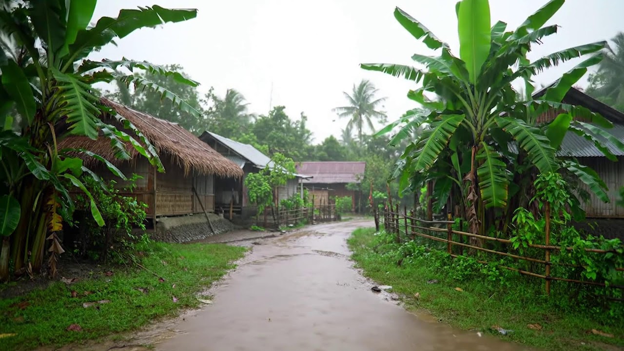 Gentle Rain in a Warm Jungle Cabin | Calming Nature Ambience for Sleep and Study