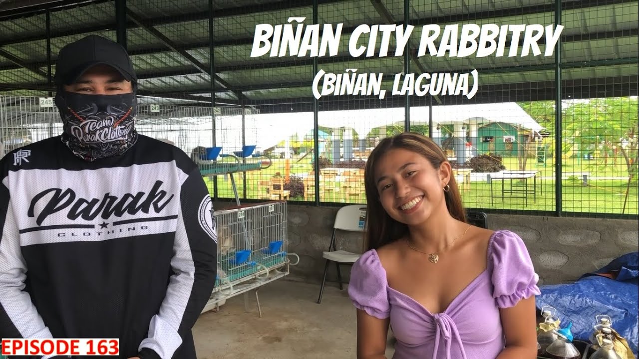 RABBIT FARMING - BIÑAN CITY RABBITRY