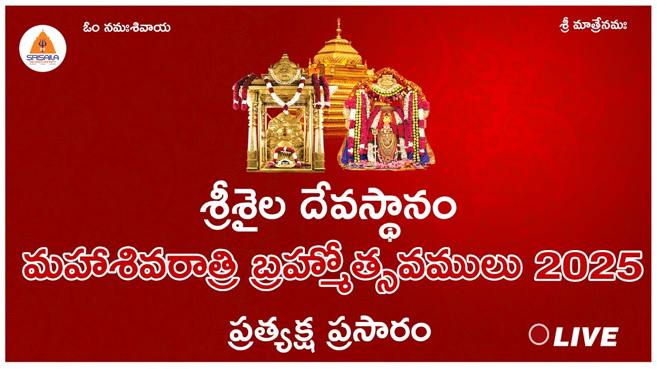 27-02-2025 || Theppothsava Seva || Maha Shivaratri Brahmotsavam || Srisaila Tv || #srisailamlive ||