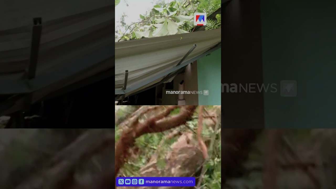 എറണാകുളത്ത് കനത്ത മഴയിൽ വ്യാപക നാശ നഷ്ടം #rain #ernakulam