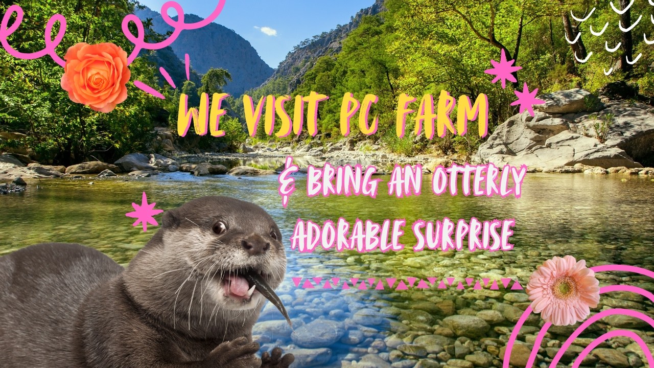 We visit PC Farm & bring an otterly adorable surprise